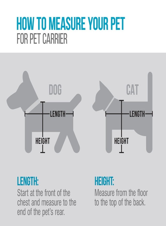 Sherpa 2-in-1 Backpack Travel Pet Carrier, Airline Approved & Guaranteed On Board - Gray, Medium (Brick & Mortar Version) - Image 3